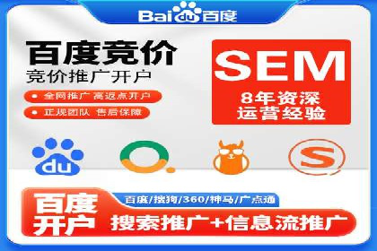 SEM代理助力品牌：案例解析与优化策略