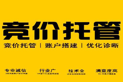 SEM托管公司案例：品牌提升